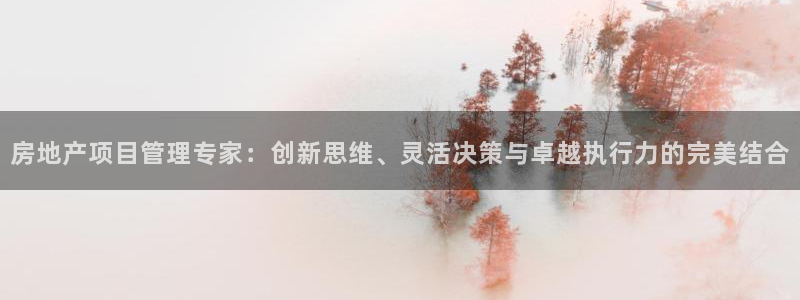 新宝5登录不了：房地产项目管理专家：创新思维、灵活决策与卓越