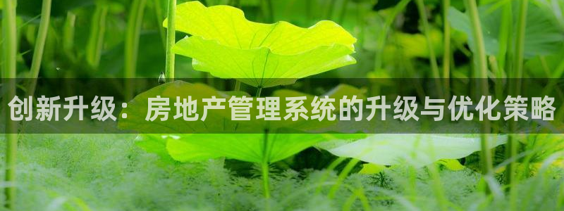新宝5开好：创新升级：房地产管理系统的升级与优化策略