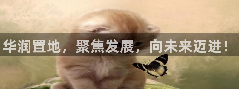 新宝5登录不了：华润置地，聚焦发展，向未来迈进！