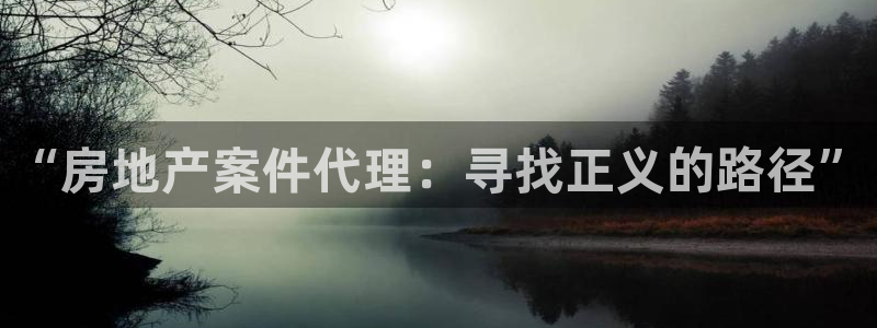 新宝5网站：“房地产案件代理：寻找正义的路径”