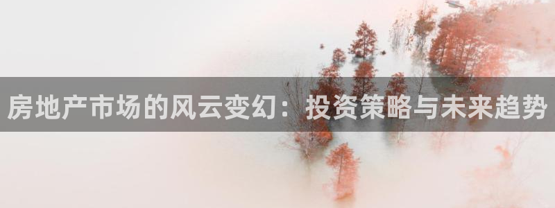 新宝b2O5O5O：房地产市场的风云变幻：投资策略与未来趋势