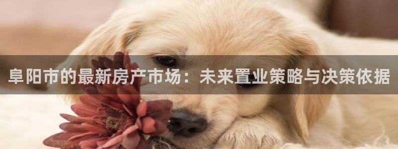 新宝5内部：阜阳市的最新房产市场：未来置业策略与决策依据