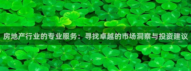 新宝5地址：房地产行业的专业服务：寻找卓越的市场洞察与投资建