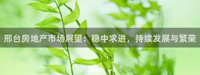 新宝5吴74OOO5：邢台房地产市场展望：稳中求进，持续发展