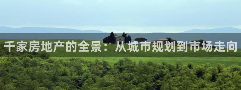 新宝5什么时候上市：千家房地产的全景：从城市规划到市场走向