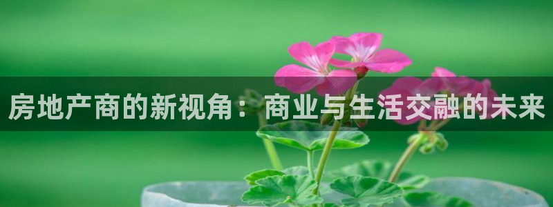 新宝5寂创33300散：房地产商的新视角：商业与生活交融的未