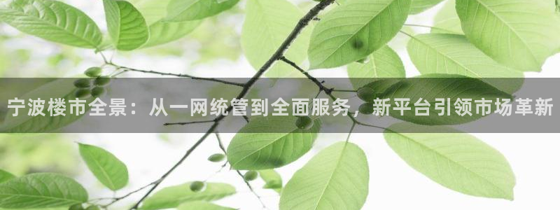 新宝5娱乐网址：宁波楼市全景：从一网统管到全面服务，新平台引