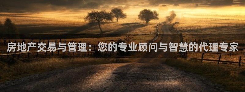 新宝5客户端登录：房地产交易与管理：您的专业顾问与智慧的代理