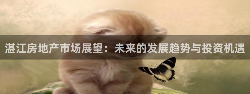 新宝cR一5：湛江房地产市场展望：未来的发展趋势与投资机遇