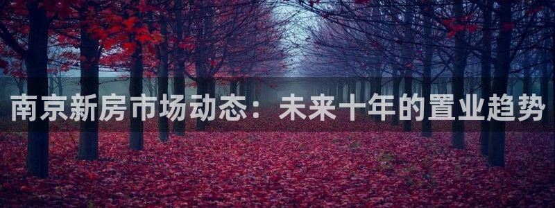 新宝5娱乐经：南京新房市场动态：未来十年的置业趋势