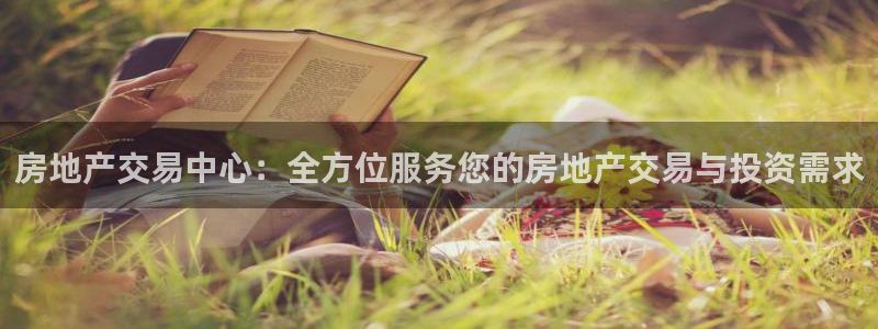 新宝5挂机：房地产交易中心：全方位服务您的房地产交易与投资需
