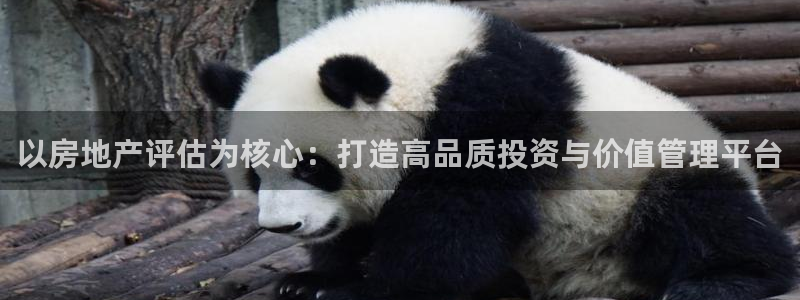 新宝5登录注册：以房地产评估为核心：打造高品质投资与价值管理