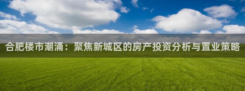 新宝rc_5w：合肥楼市潮涌：聚焦新城区的房产投资分析与置业