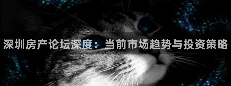 新宝5总代：深圳房产论坛深度：当前市场趋势与投资策略