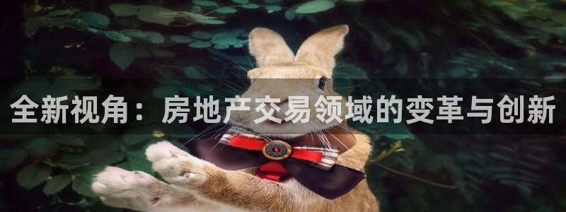 新宝5如何注册：全新视角：房地产交易领域的变革与创新