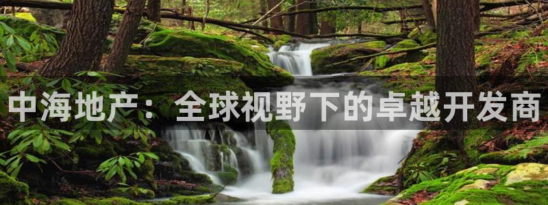 新宝j2O5O5O：中海地产：全球视野下的卓越开发商