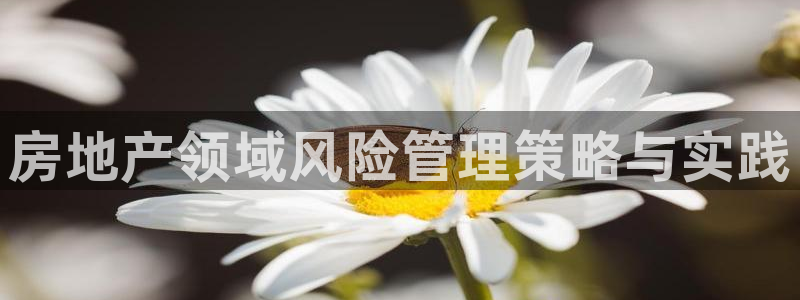 新宝5玩法