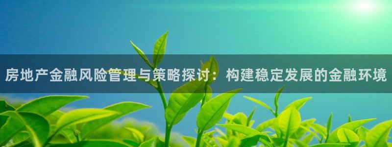 新宝5可靠吗：房地产金融风险管理与策略探讨：构建稳定发展的金