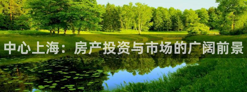 新宝5登录地址：中心上海：房产投资与市场的广阔前景