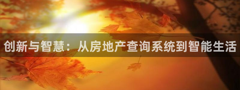 新宝5手机登陆：创新与智慧：从房地产查询系统到智能生活