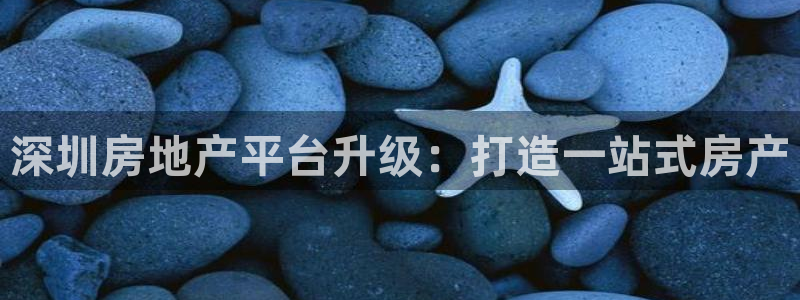 新宝5登录地址：深圳房地产平台升级：打造一站式房产