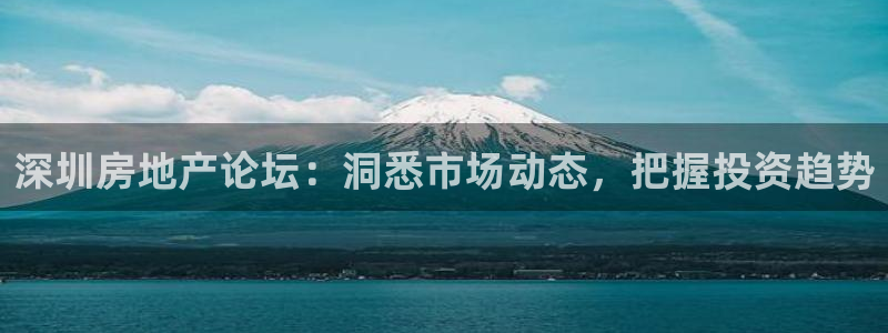 新宝5登录霸：深圳房地产论坛：洞悉市场动态，把握投资趋势