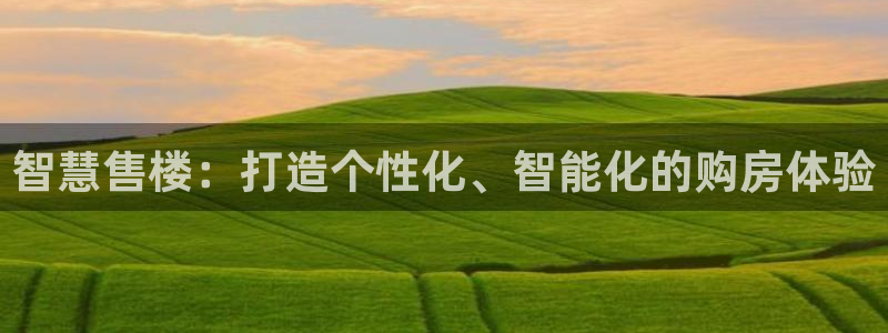 新宝5d：智慧售楼：打造个性化、智能化的购房体验