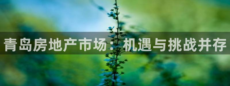新宝5彩票是正规平台吗：青岛房地产市场：机遇与挑战并存