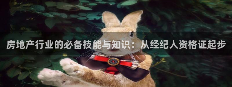 新宝5下载：房地产行业的必备技能与知识：从经纪人资格证起步