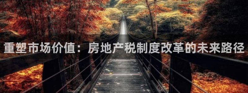 新宝5培训：重塑市场价值：房地产税制度改革的未来路径