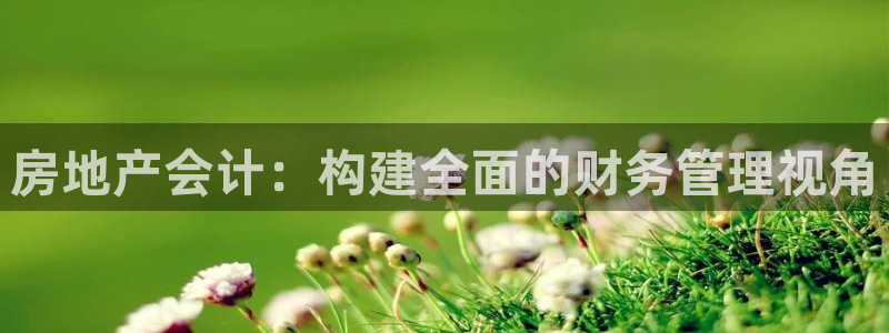 新宝G5：房地产会计：构建全面的财务管理视角