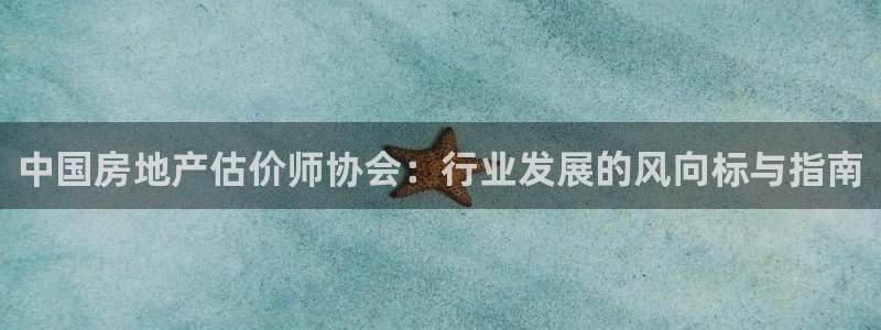新宝5平棋牌：中国房地产估价师协会：行业发展的风向标与指南