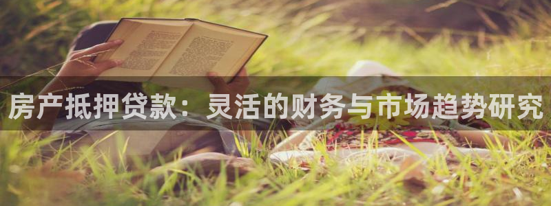 新宝5手机登录：房产抵押贷款：灵活的财务与市场趋势研究