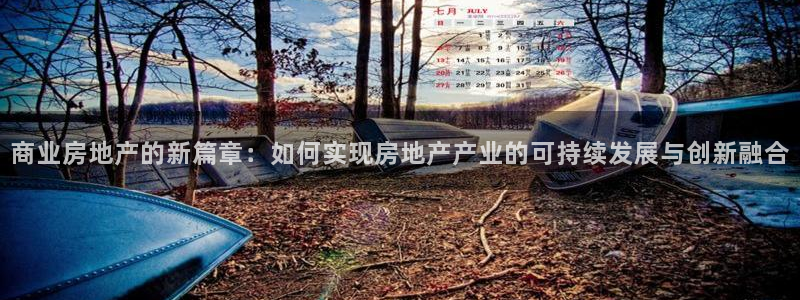 新宝5台卡：商业房地产的新篇章：如何实现房地产产业的可持续发