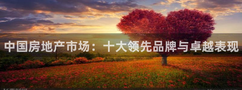 新宝5平台霸：中国房地产市场：十大领先品牌与卓越表现
