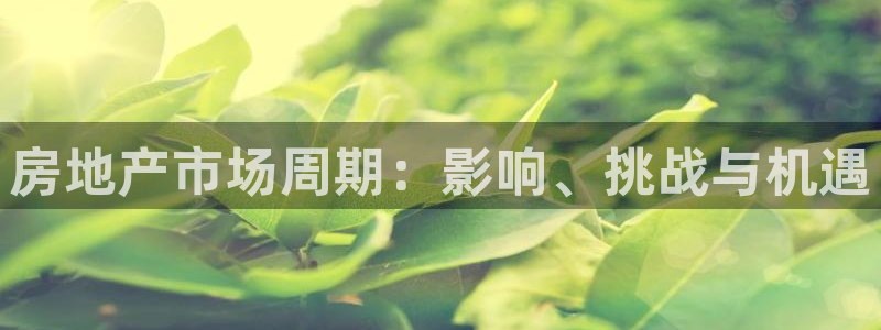 i新宝5：房地产市场周期：影响、挑战与机遇
