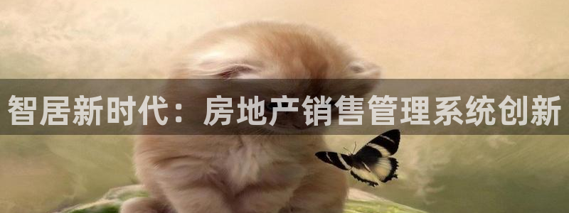 新宝5下载软件：智居新时代：房地产销售管理系统创新