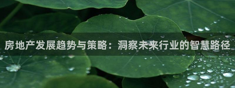 i新宝5：房地产发展趋势与策略：洞察未来行业的智慧路径