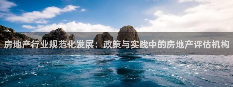 新宝5下载官方：房地产行业规范化发展：政策与实践中的房地产评