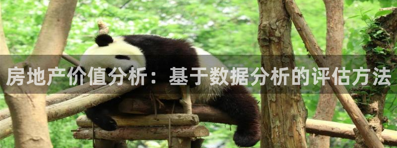 新宝骏rc5W：房地产价值分析：基于数据分析的评估方法