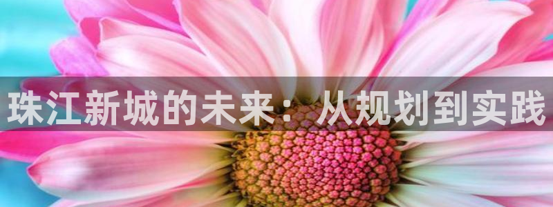 新宝5谠631257：珠江新城的未来：从规划到实践
