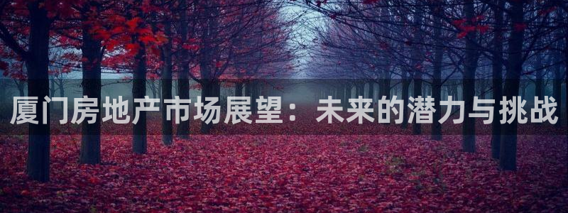 新宝5官方：厦门房地产市场展望：未来的潜力与挑战