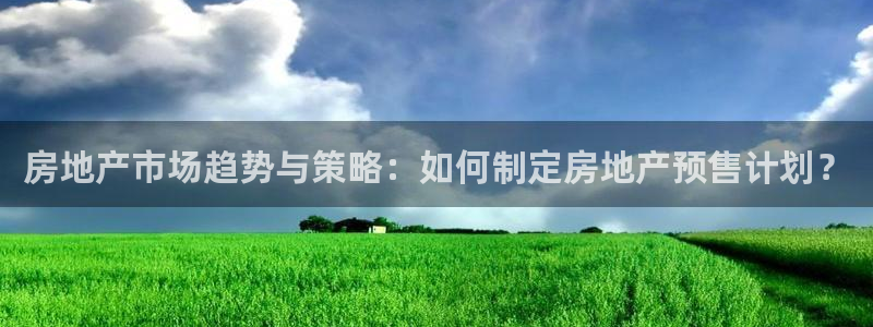 新宝5主管：房地产市场趋势与策略：如何制定房地产预售计划？