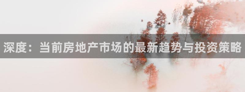 新宝5是谁的：深度：当前房地产市场的最新趋势与投资策略