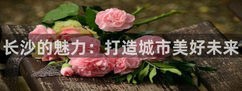 新宝奇迹GG5：长沙的魅力：打造城市美好未来