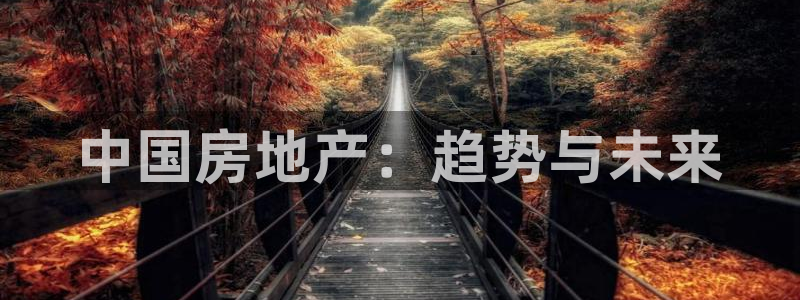 皇冠新宝5：中国房地产：趋势与未来