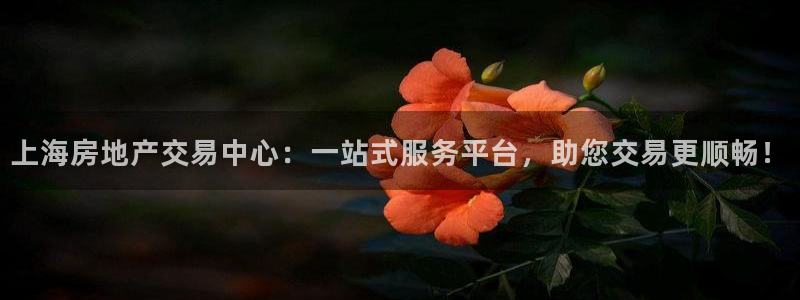 新宝5注册链接：上海房地产交易中心：一站式服务平台，助您交易