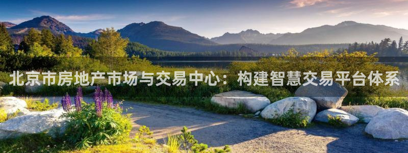 新宝5谠631257：北京市房地产市场与交易中心：构建智慧交