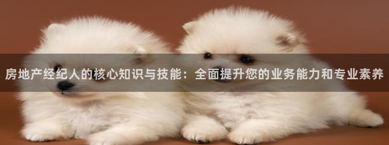 新宝5注册测速登录：房地产经纪人的核心知识与技能：全面提升您