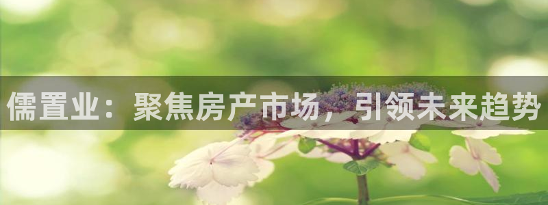 新宝5：儒置业：聚焦房产市场，引领未来趋势